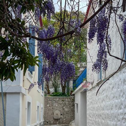 αυλή παραδοσιακού σπιτιού ασωματος 